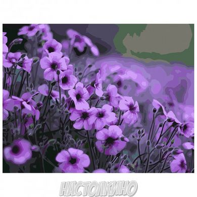 Картина за номерами "Фіолетові квіти", 40х50 см