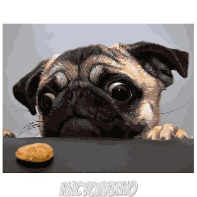 Картина за номерами "Мопс та печиво", 40х50 см