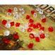 Основатели Мрачной гавани (Founders of Gloomhaven)