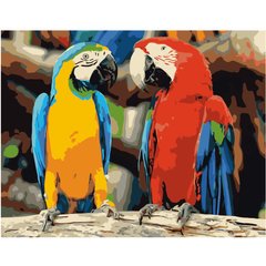 Картина по номерам "Яскрава пара папуг", 40х50 см