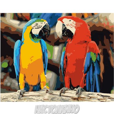 Картина за номерами "Яскрава пара папуг", 40х50 см