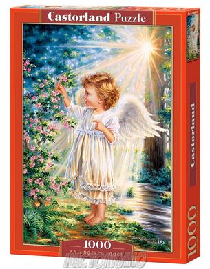 Пазл "Прикосновение Ангела", 1000 елементів