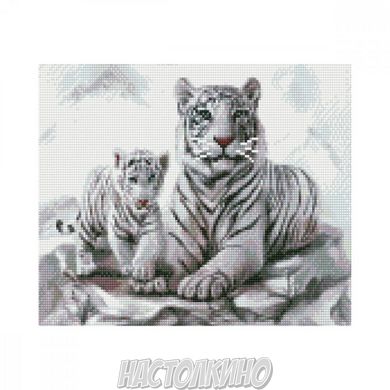 Алмазная мозаика "Білі тигри", 30х40 см