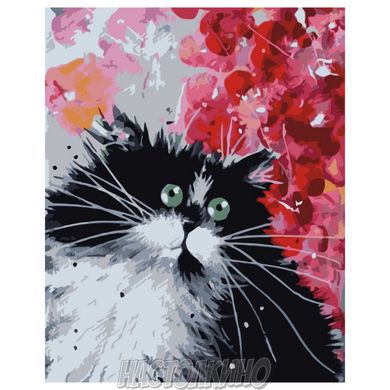 Картина за номерами "Чорно-білий котик", 40х50 см