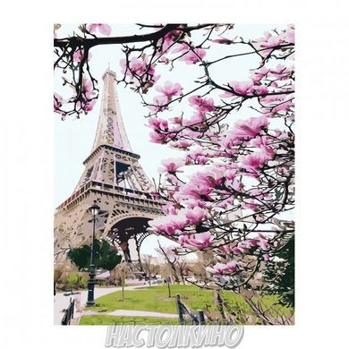 Картина по номерам "Весняний Париж", 40х50 см
