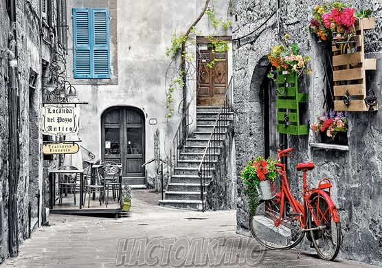 Пазлы " Очаровательная аллея с красным велосипедом", 500 элементов