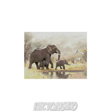 Алмазна мозаїка "Сім'я слонів", 30х40 см