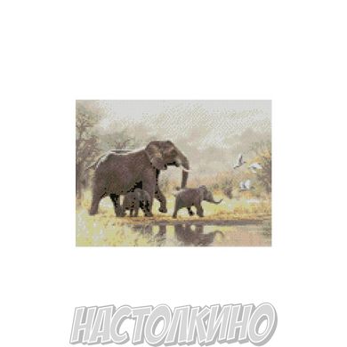Алмазная мозаика "Сім'я слонів", 30х40 см