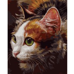 Картина за номерами "Зеленоокий кіт" , 40х50 см