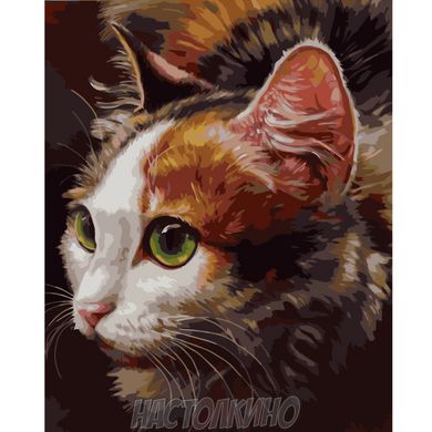 Картина за номерами "Зеленоокий кіт" , 40х50 см