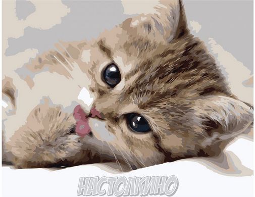 Картина за номерами "Маленький котик", 40х50 см