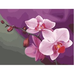 Картина за номерами. Букети "Рожеві орхідеї" 40*50см