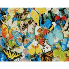 Алмазная мозаика "Барвисті метелики", 40х50 см