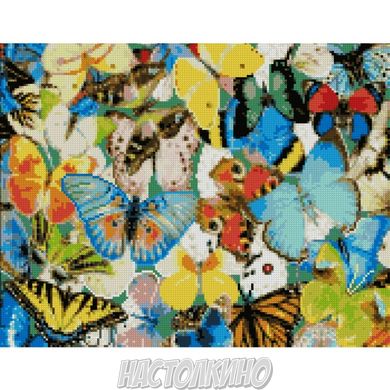 Алмазна мозаїка "Барвисті метелики", 40х50 см