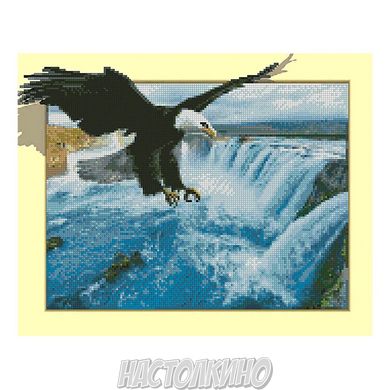 Алмазная мозаика «Орел і водоспад», 40х50 см