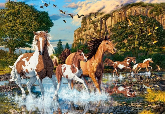 Пазлы "Волшебная страна лошадей", 1000 элементов