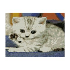 Алмазная мозаика "Маленьке кошеня", 30х40 см