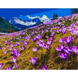 Картина за номерами "Поле крокусів", 40х50 см