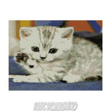 Алмазна мозаїка "Маленьке кошеня", 30х40 см