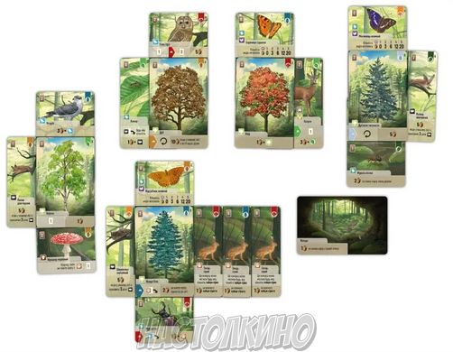 Настольная игра Лісова метушня  / Forest Shuffle (UA)