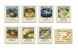 Catan: Мореплаватели (Catan: Seafarers) укр.
