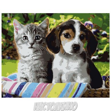 Картина за номерами "Кошеня та цуценя", 40х50 см