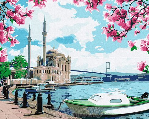 Картина за номерами. "Яскравий Стамбул" 40х50см